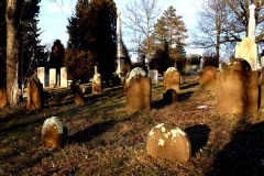 Shadows Fall