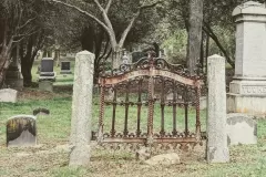 Rusted Gate Fall