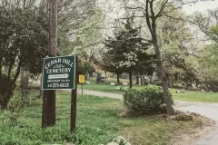 Green Sign and Path Spring