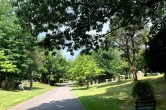 Sunny Roadway Summer