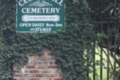 Gate Ivy Summer