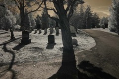 Headstones Winter 2010