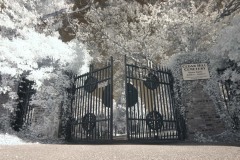 Gates Winter 2010