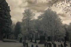 Headstones Winter 2010