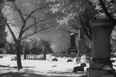 Gate Winter 2010
