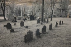 Headstones Winter 2010