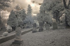 Snow 2010