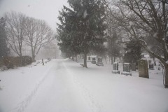 Snow PJ 2010